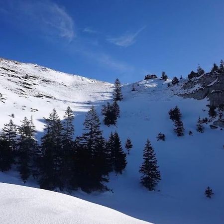 Nice And Cosy Flat Near Geneva Or Annecy بيليغارد-سور-فالسيرين المظهر الخارجي الصورة