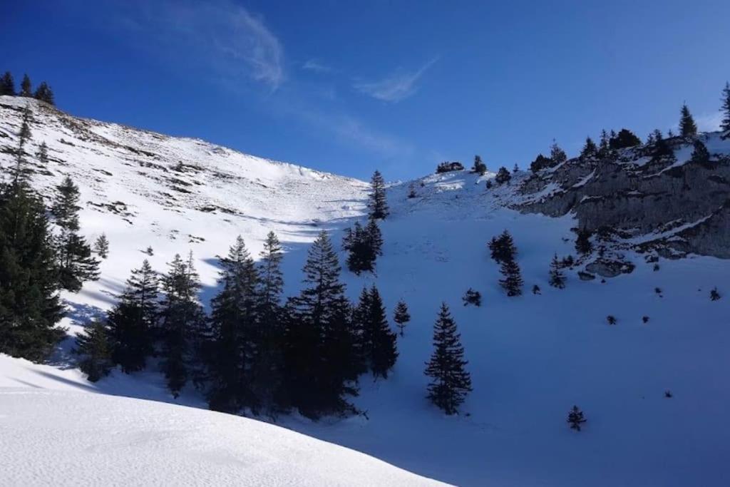 Nice And Cosy Flat Near Geneva Or Annecy بيليغارد-سور-فالسيرين المظهر الخارجي الصورة