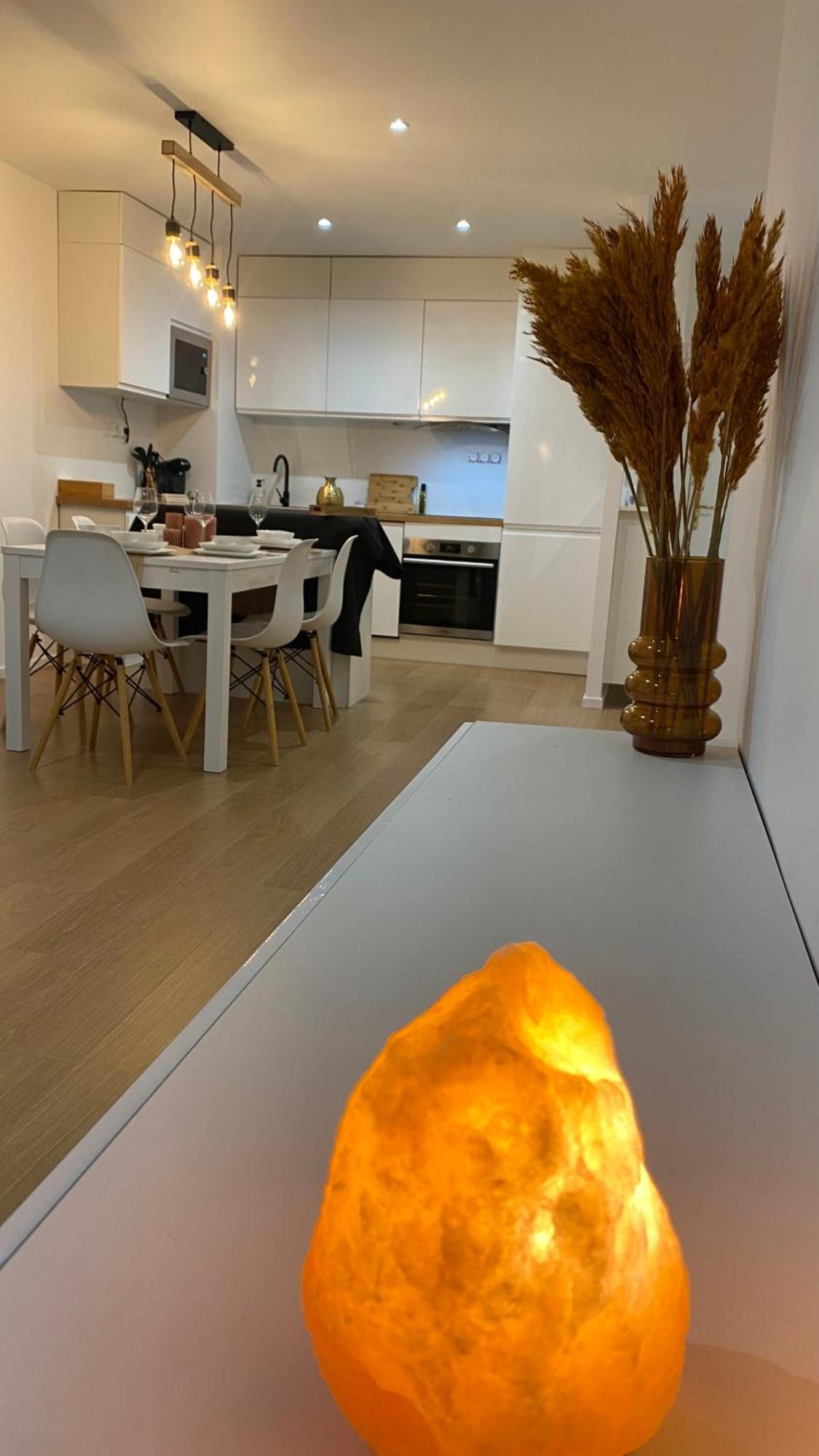Nice And Cosy Flat Near Geneva Or Annecy بيليغارد-سور-فالسيرين المظهر الخارجي الصورة